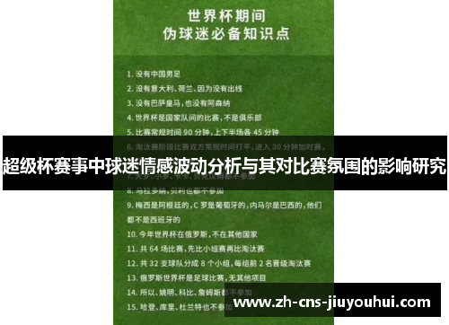 超级杯赛事中球迷情感波动分析与其对比赛氛围的影响研究 超级杯赛事中球迷情感波动分析与其对比赛氛围的影响研究
